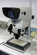 Mantis Vision Microscope