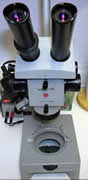 MBS-10 Microscope